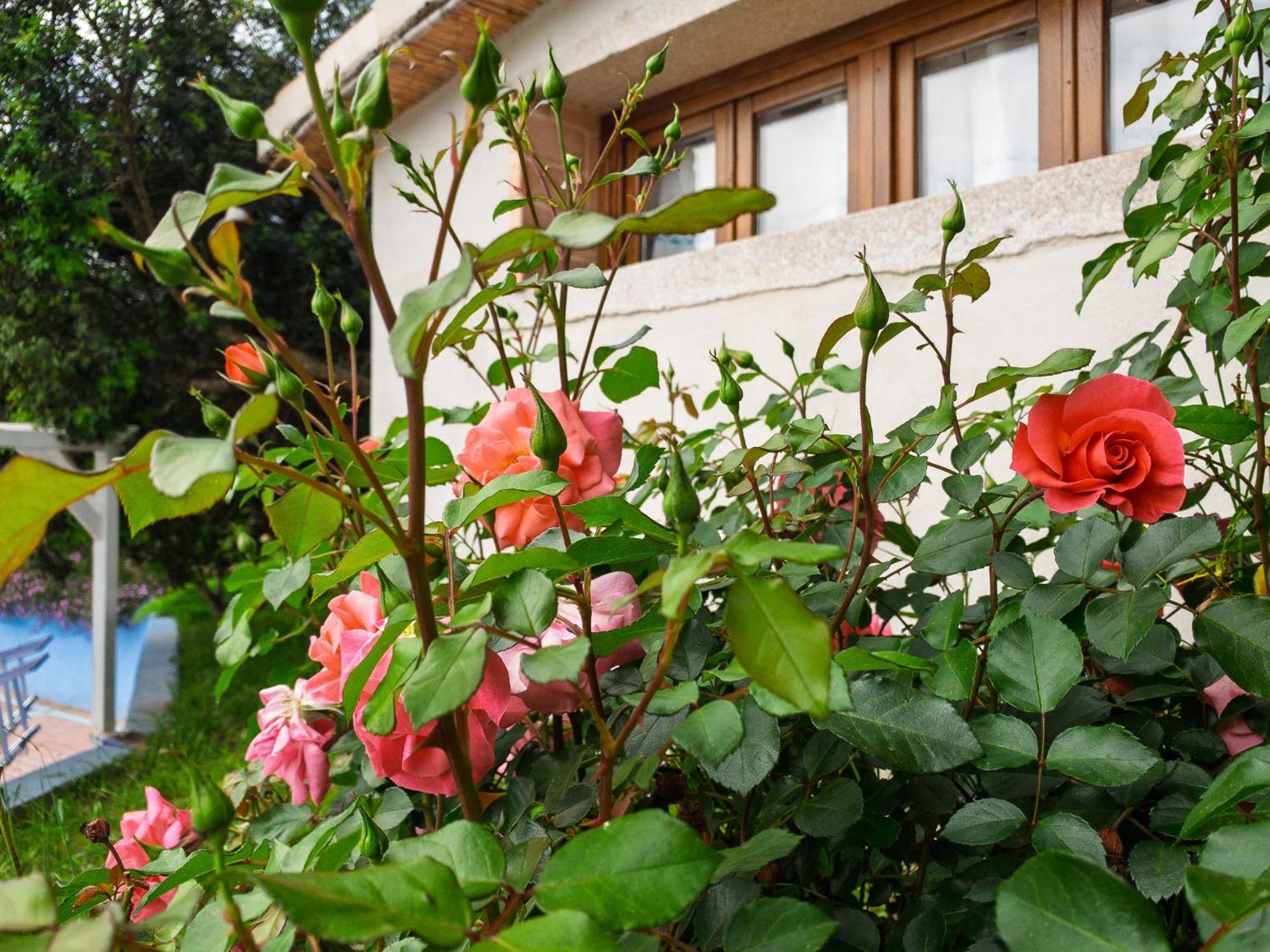 Agriturismo Guparza Posada  Dış mekan fotoğraf