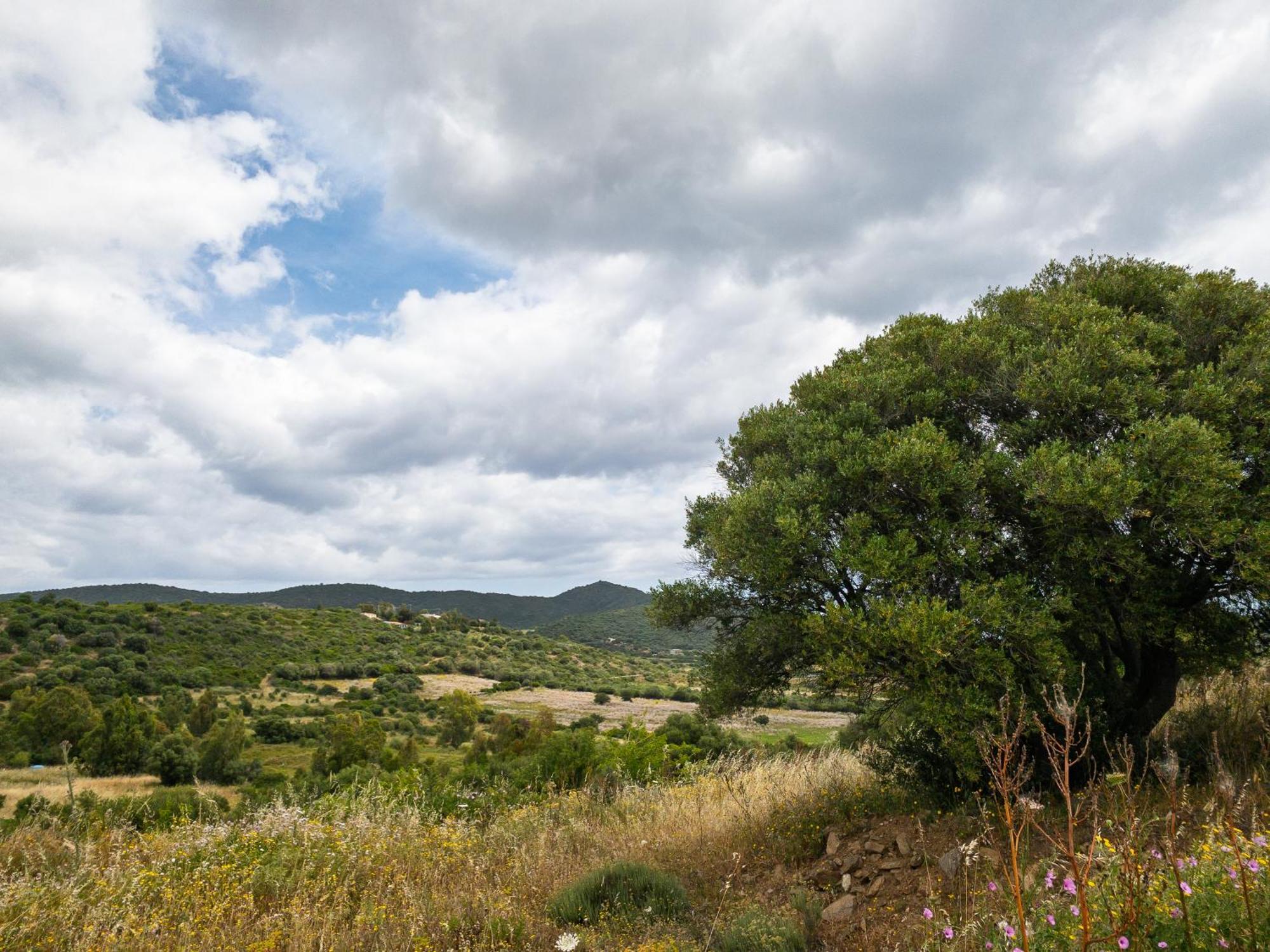 Agriturismo Guparza Posada  Dış mekan fotoğraf
